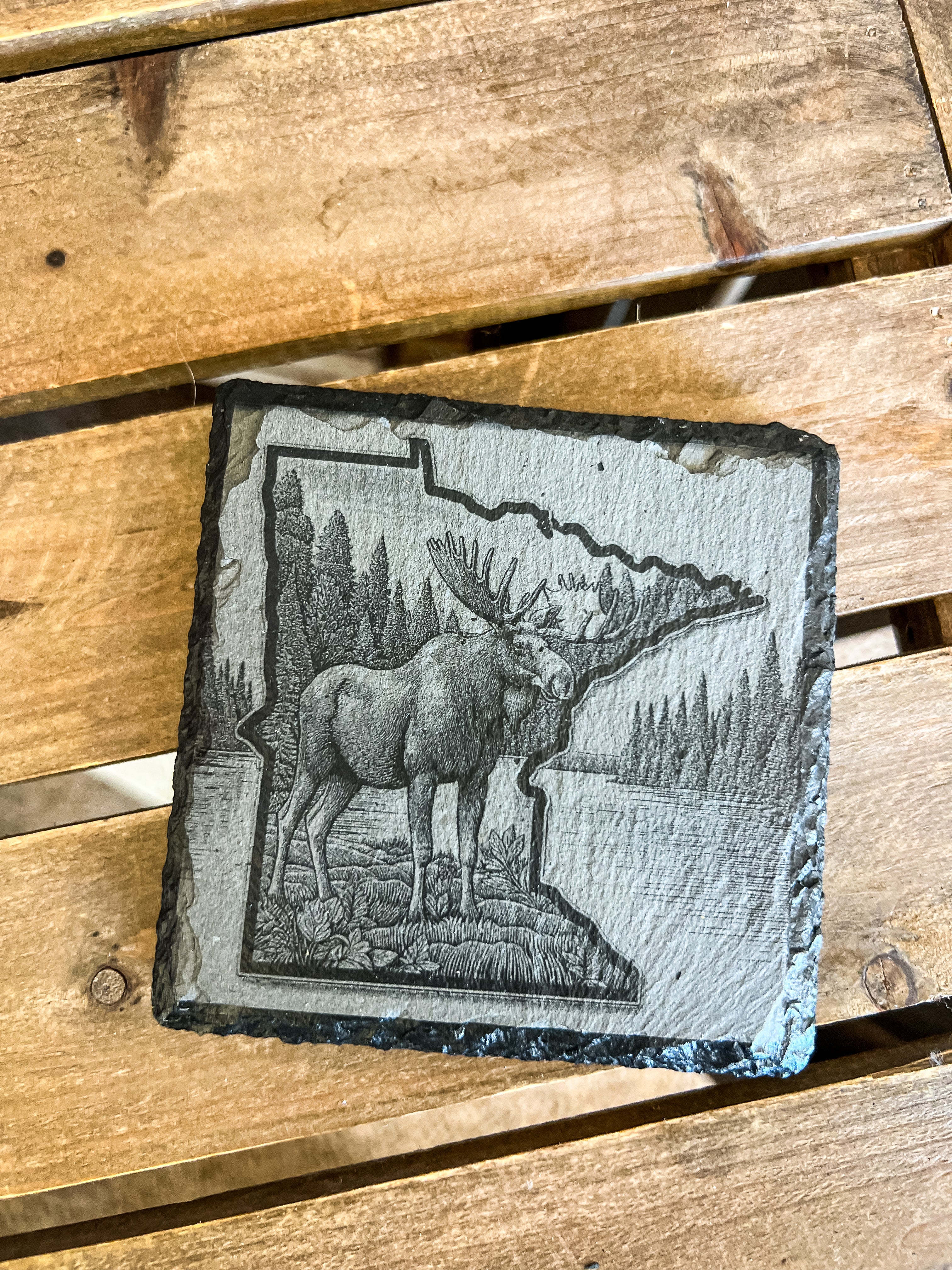 Minnesota Wildlife Outline Engraved Coaster