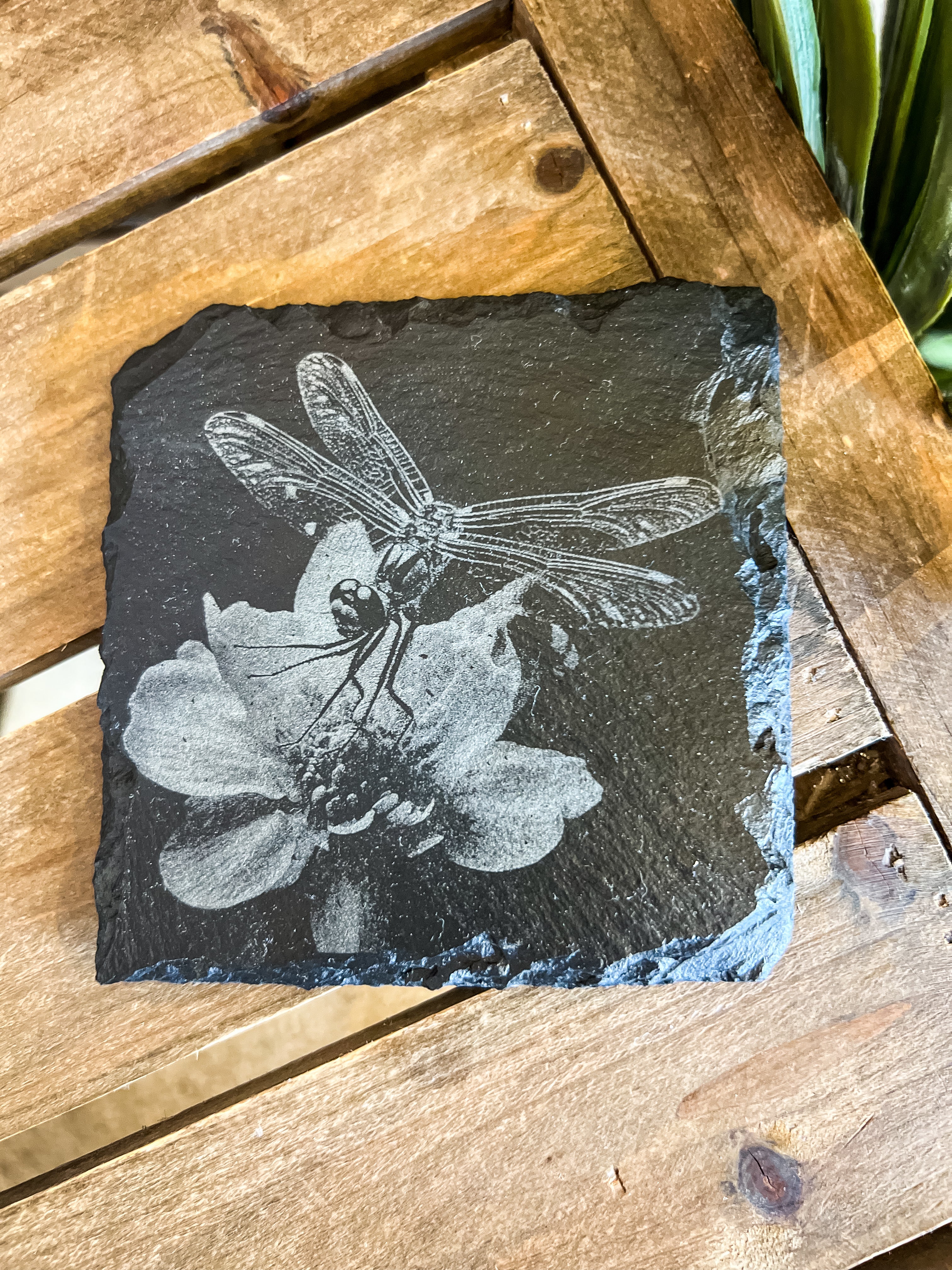 Dragonfly Engraved Coaster