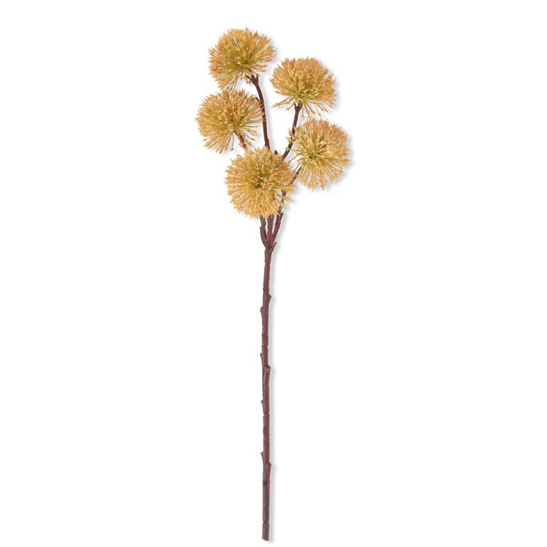 Dark Orange Centaurea Thistle Spray