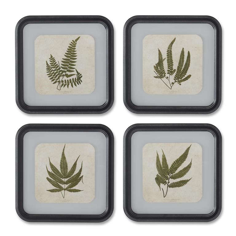 Fern in Square Black Wood Rounded Frame