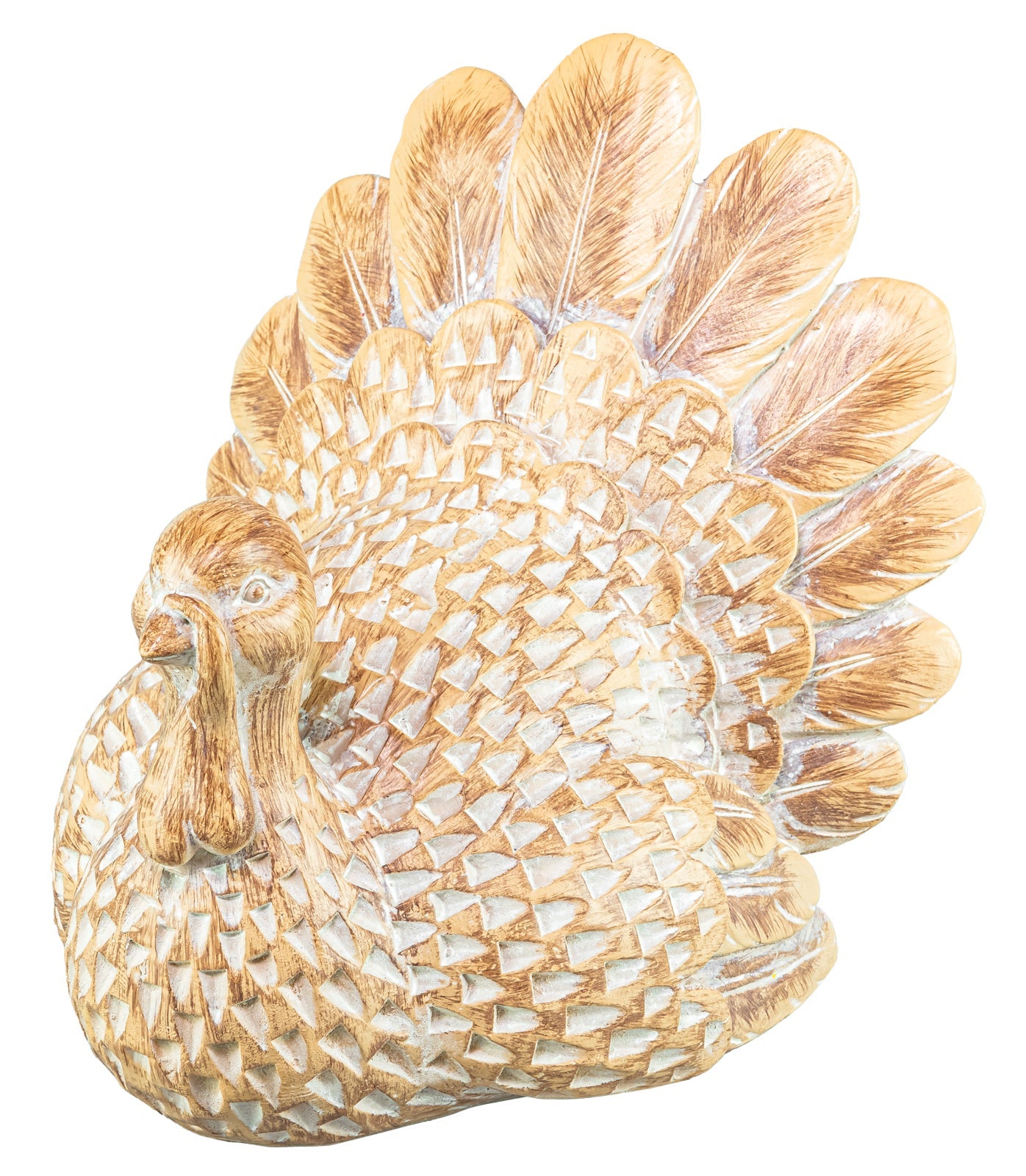 White Washed Turkey