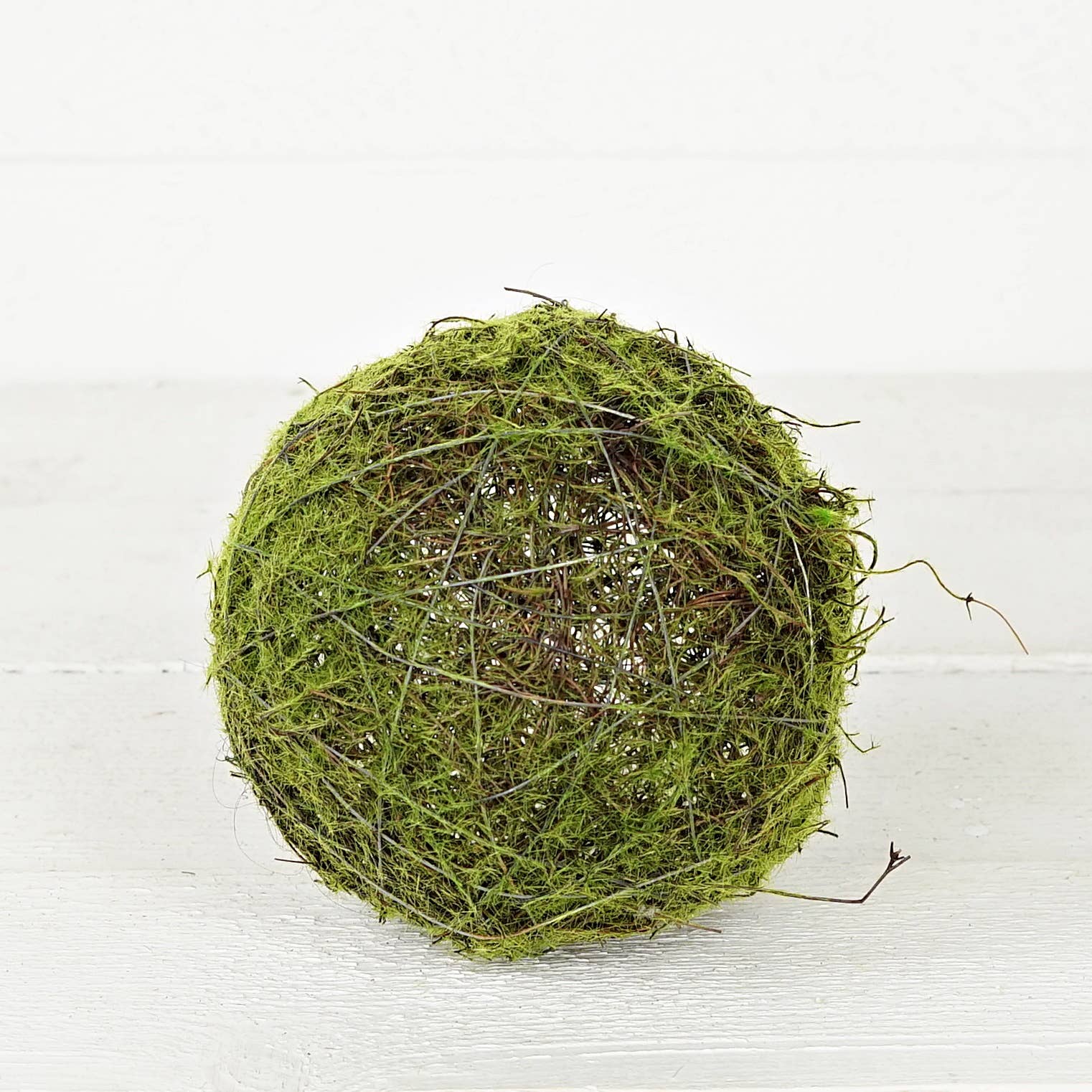 6in Mossy Twig Ball
