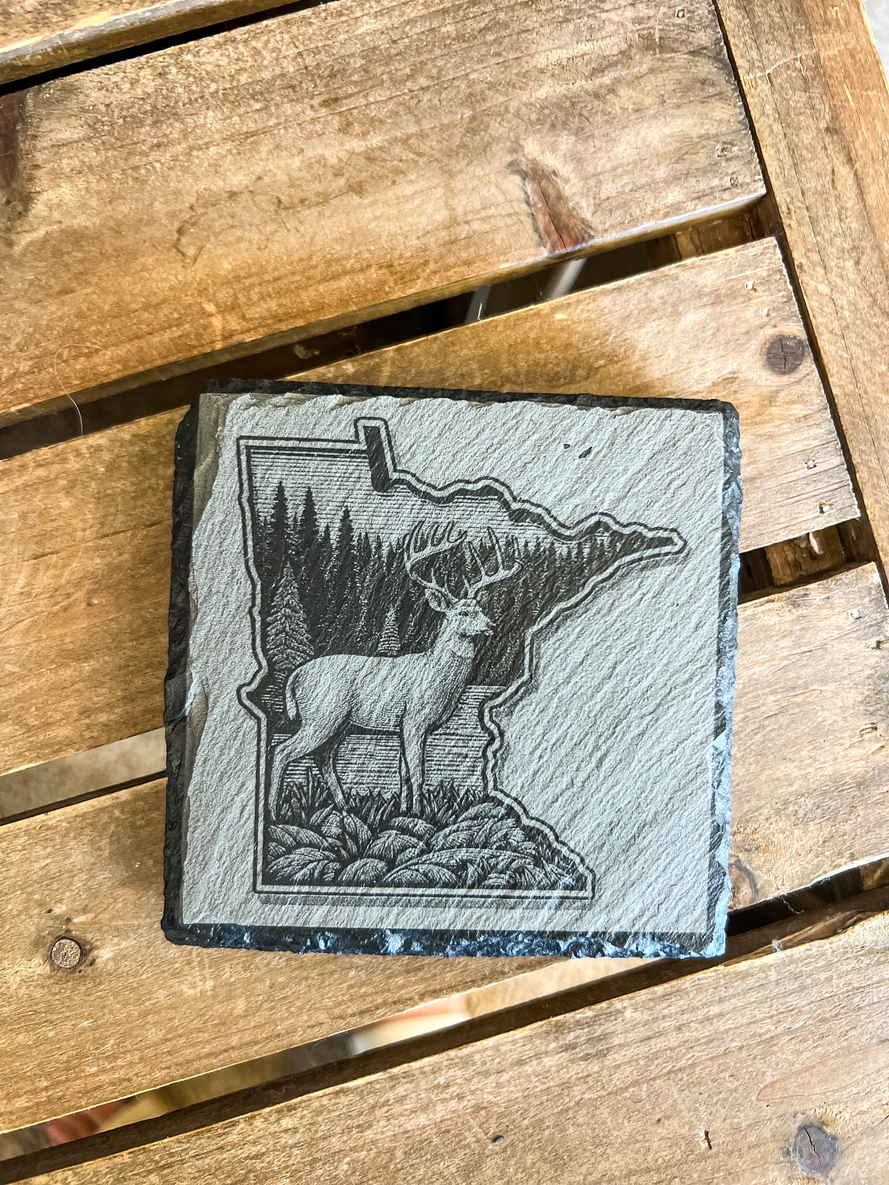 Minnesota Wildlife Outline Engraved Coaster