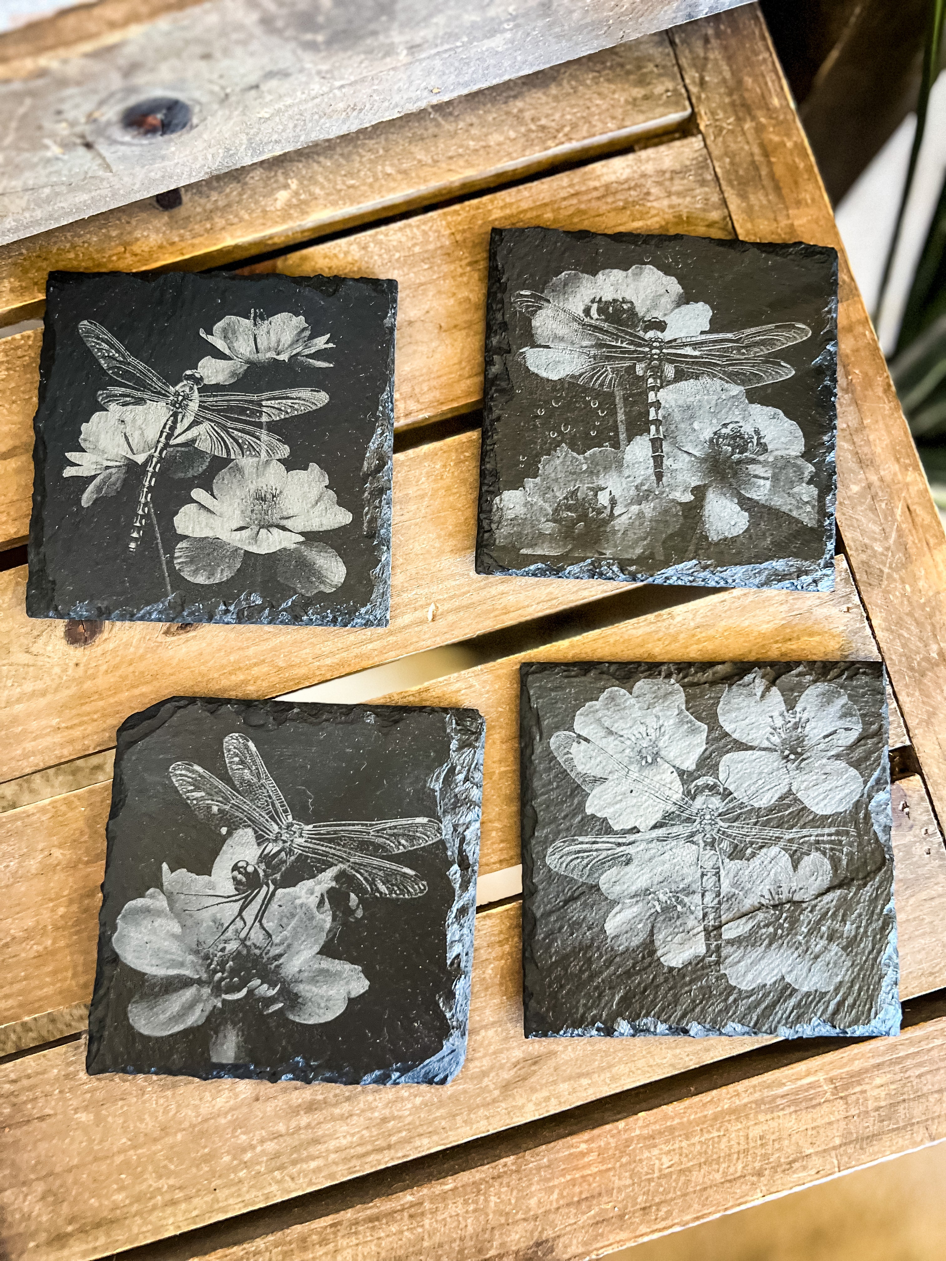 Dragonfly Engraved Coaster