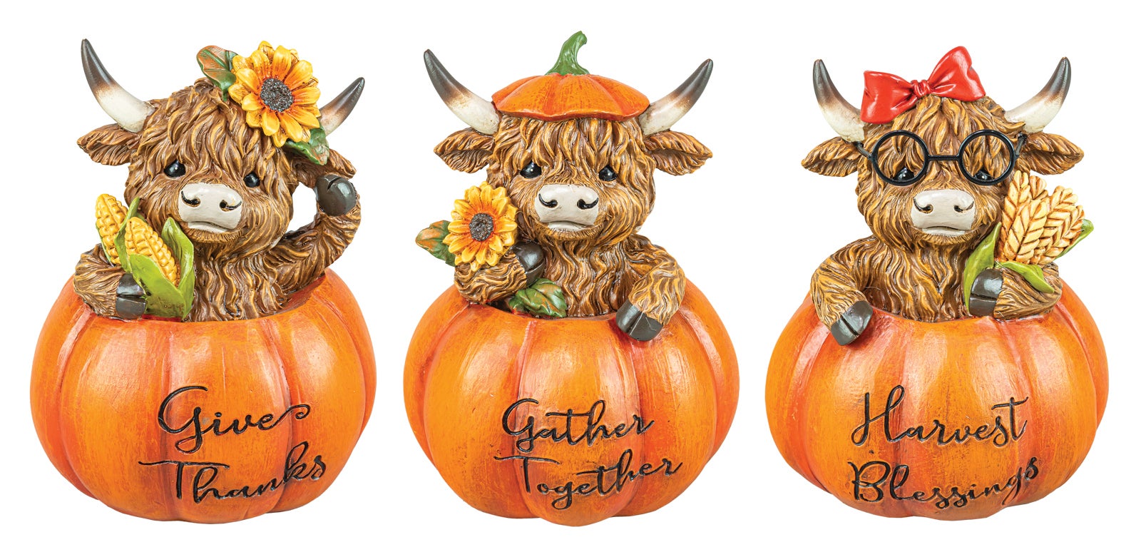 Harvest Highland Cow in Pumpkin