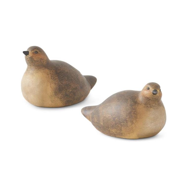 Natural Brown Quails