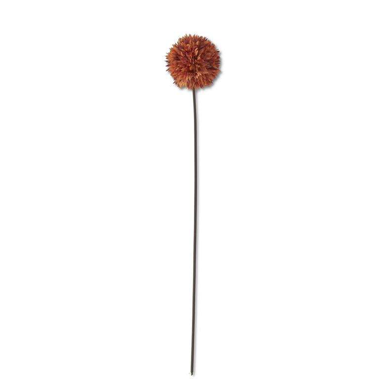 Orange Allium Stem