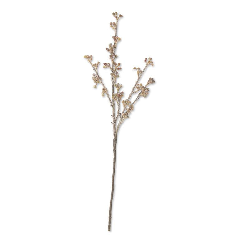 Powdered Light Brown Berry Stem