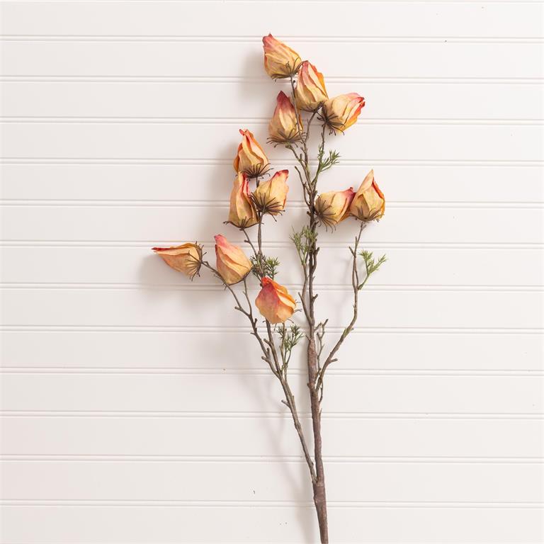 Withered Yellow & Pink Chinese Lantern Spray Pick