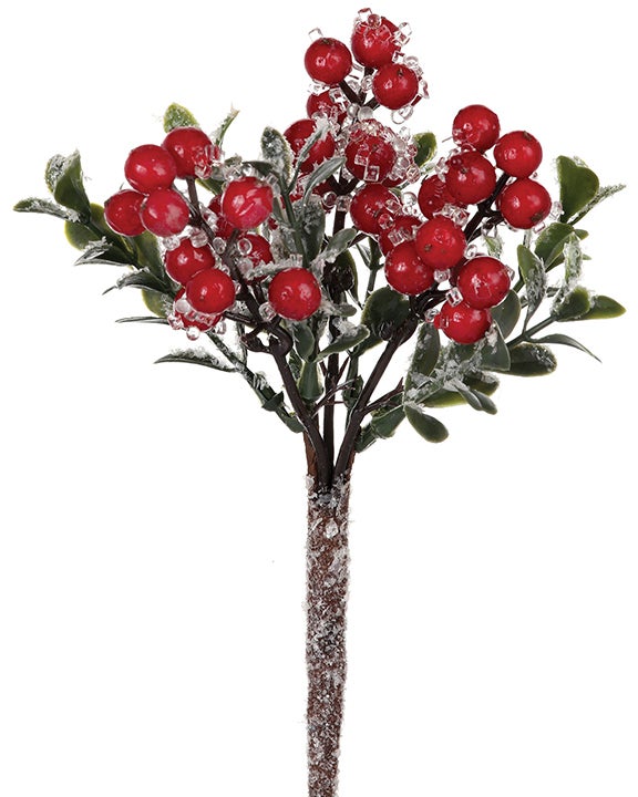 Iced Berry Boxwood Pick