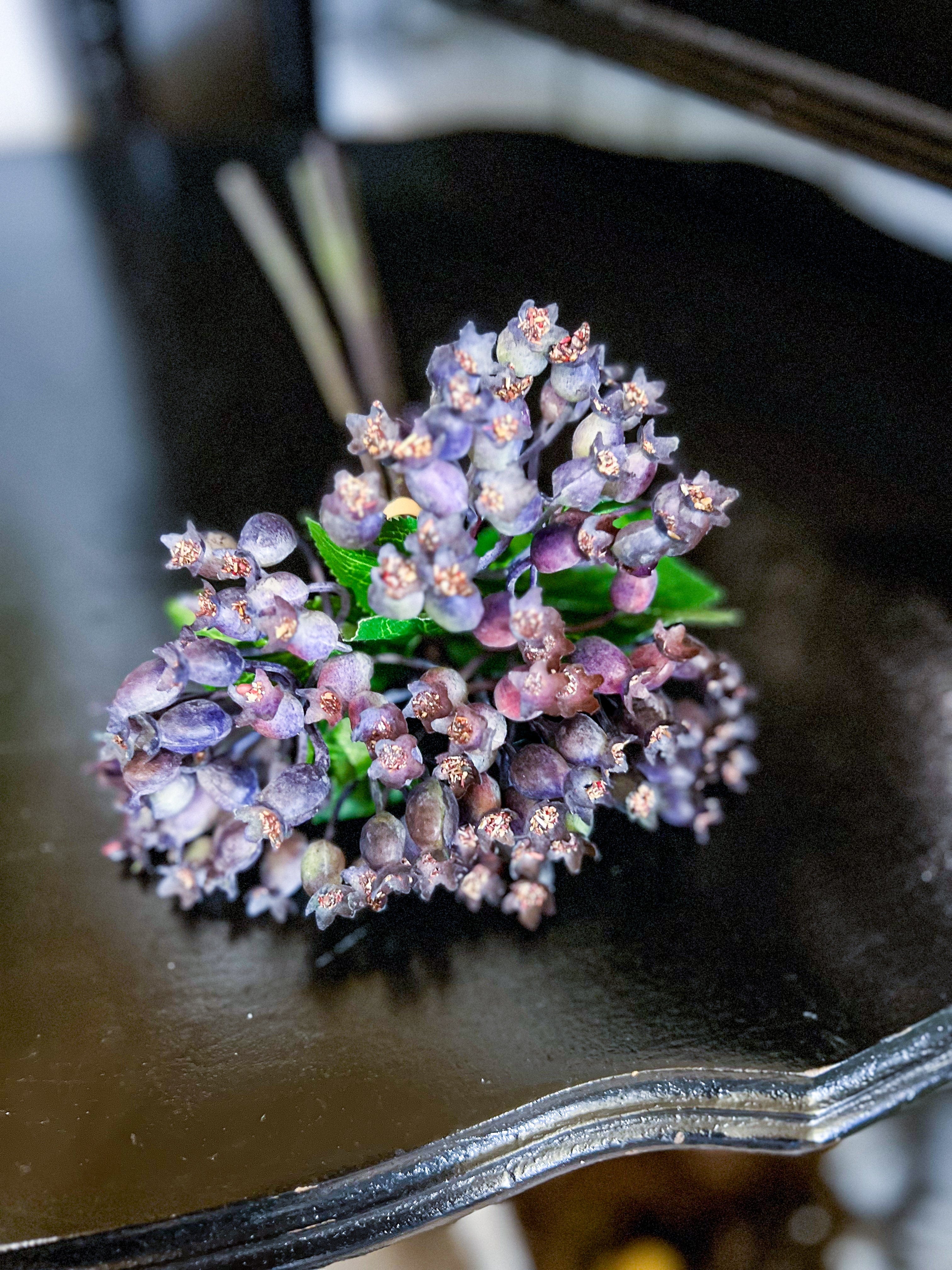 Bella Blueberry Bunch