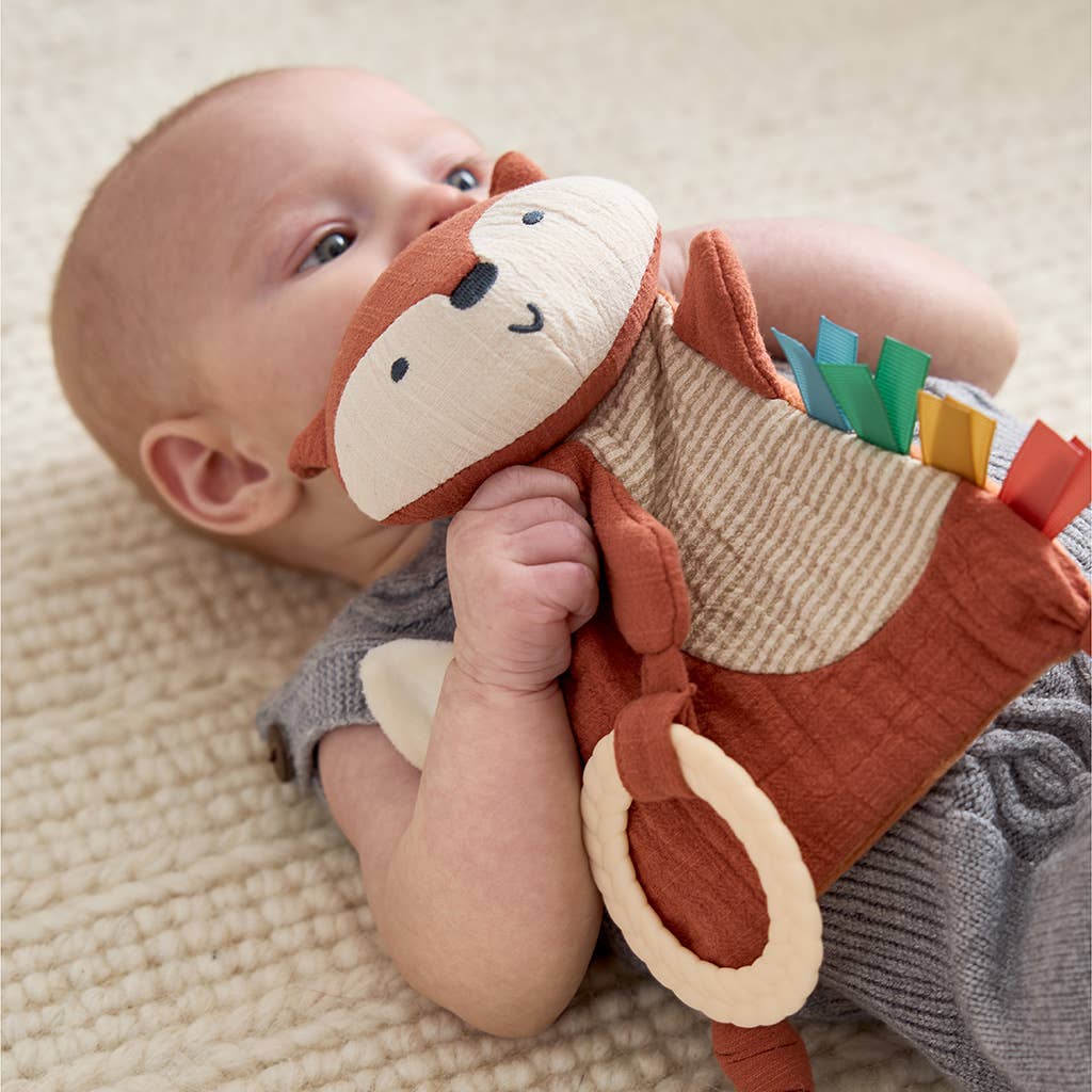 Bitzy Crinkle™ Sensory Toy with Teether