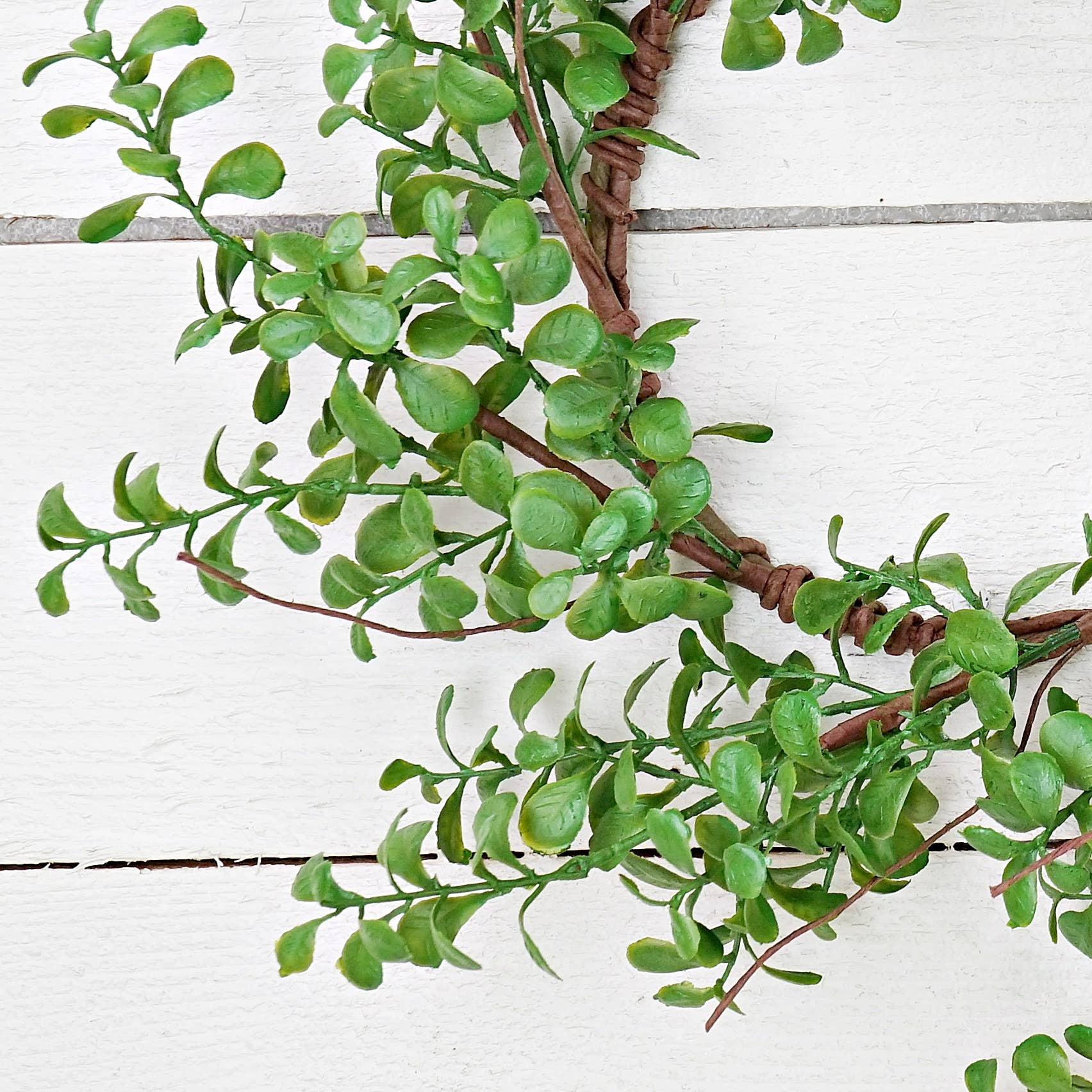 Evergreen Boxwood Wreath-14