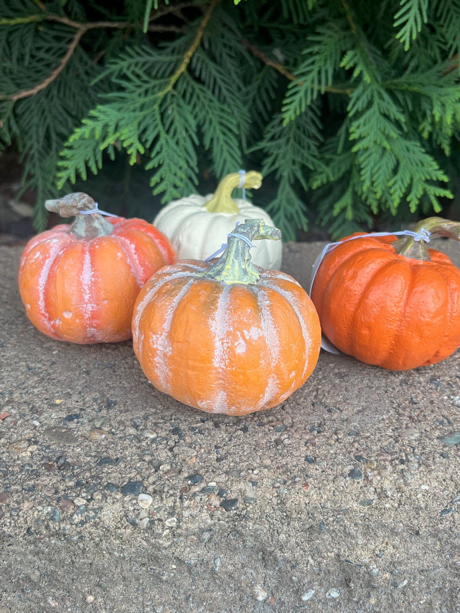 Fall Pumpkins (set of 4)