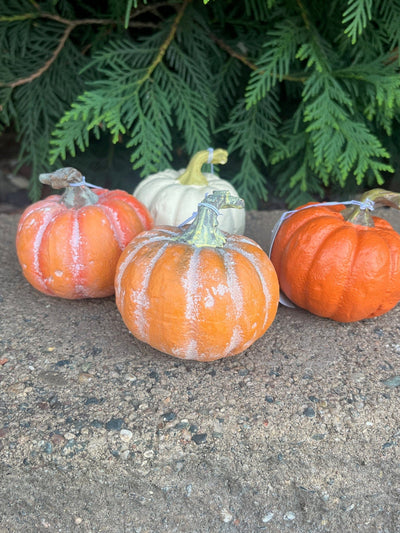 Fall Pumpkins (set of 4)