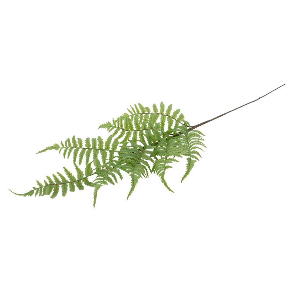 Fern Pick
