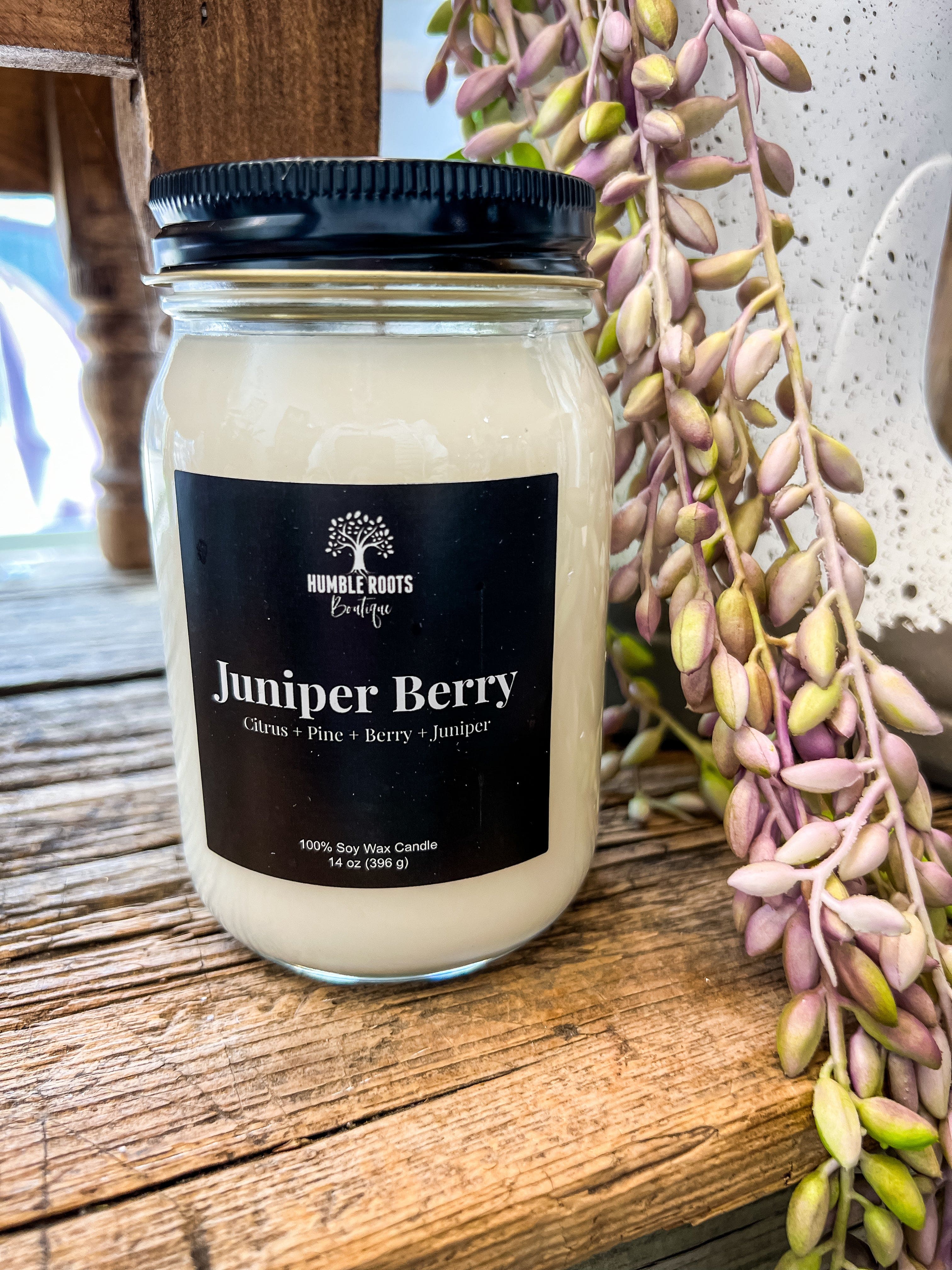 Juniper Berry Soy Candle