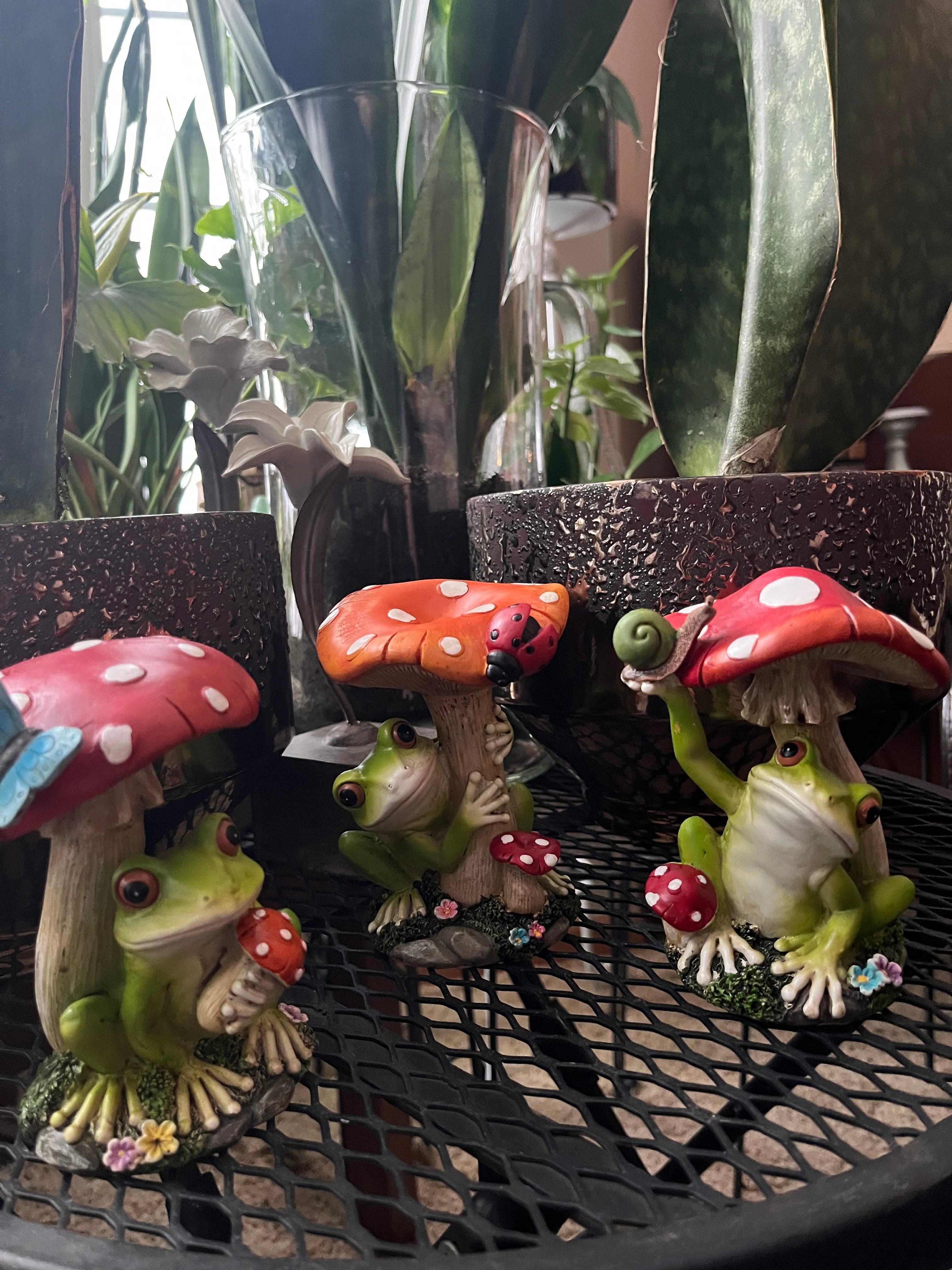 APM #4 (Andy) Mushroom Sheltered Frog Mushroom Sheltered Frog