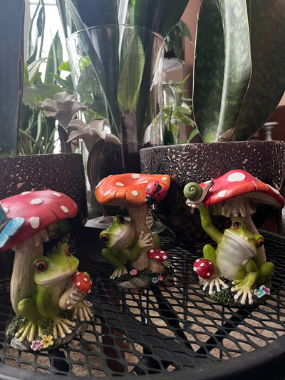 Mushroom Sheltered Frog