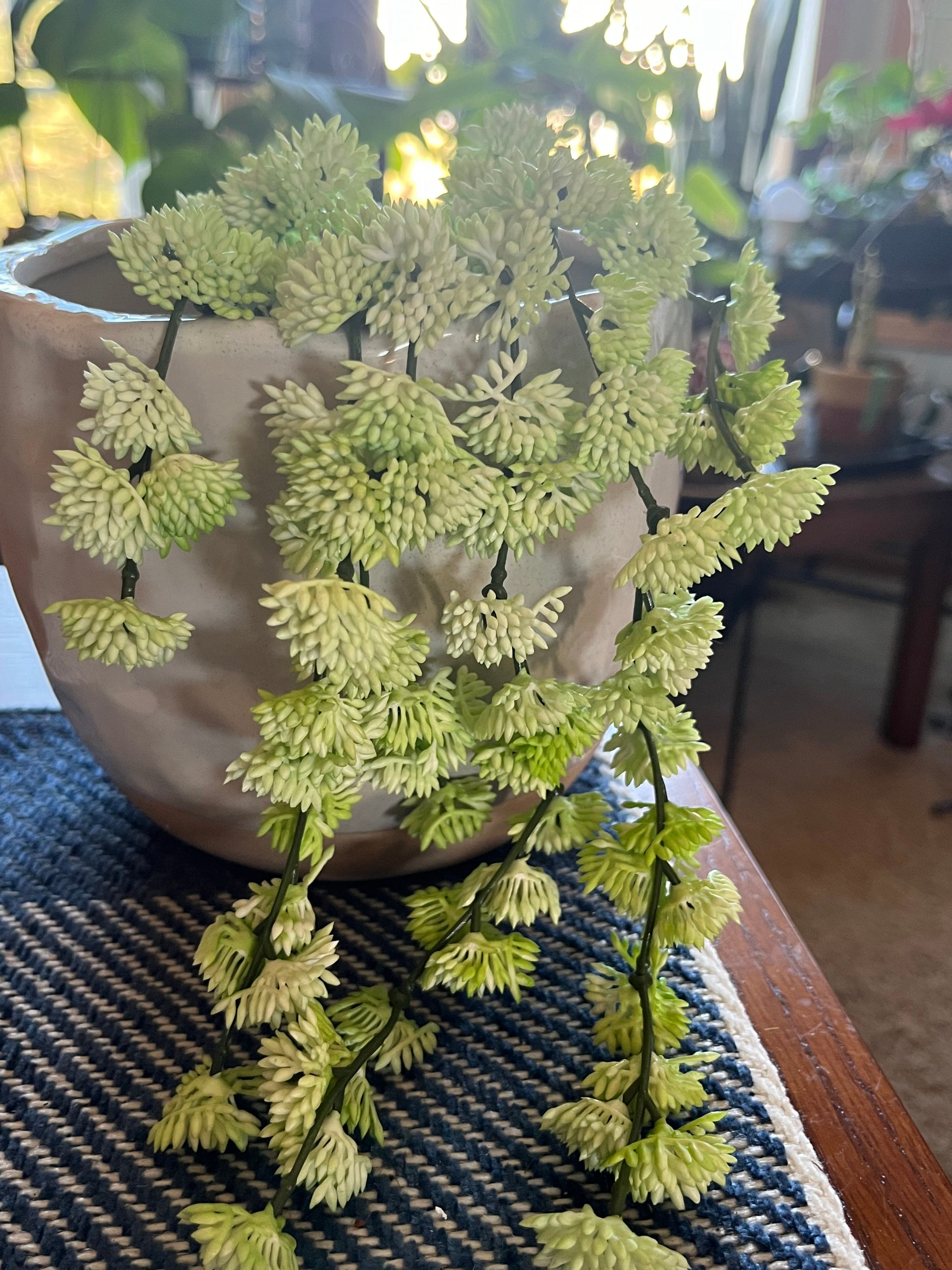 Natural Touch Sedum Vine