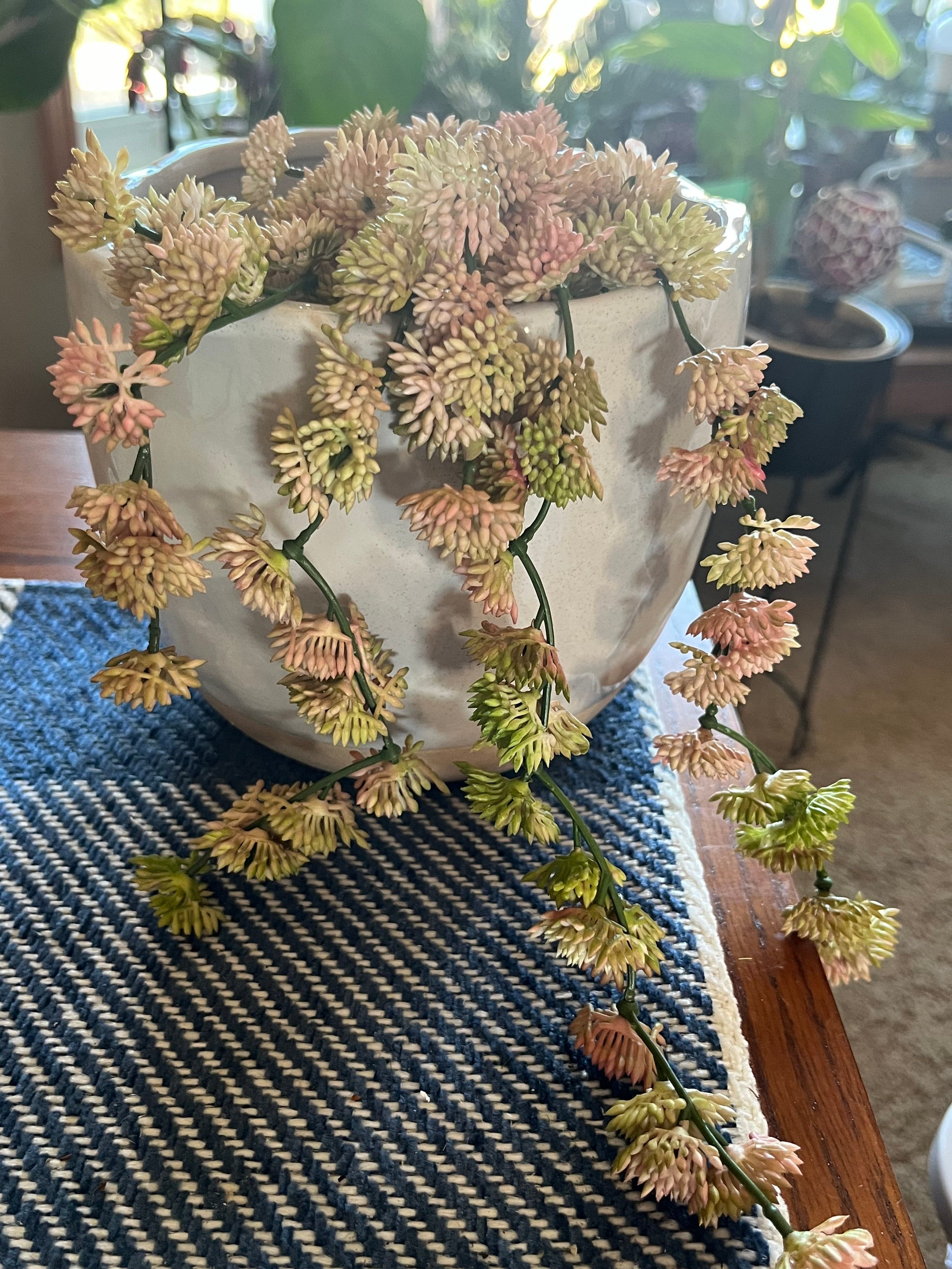 Natural Touch Sedum Vine