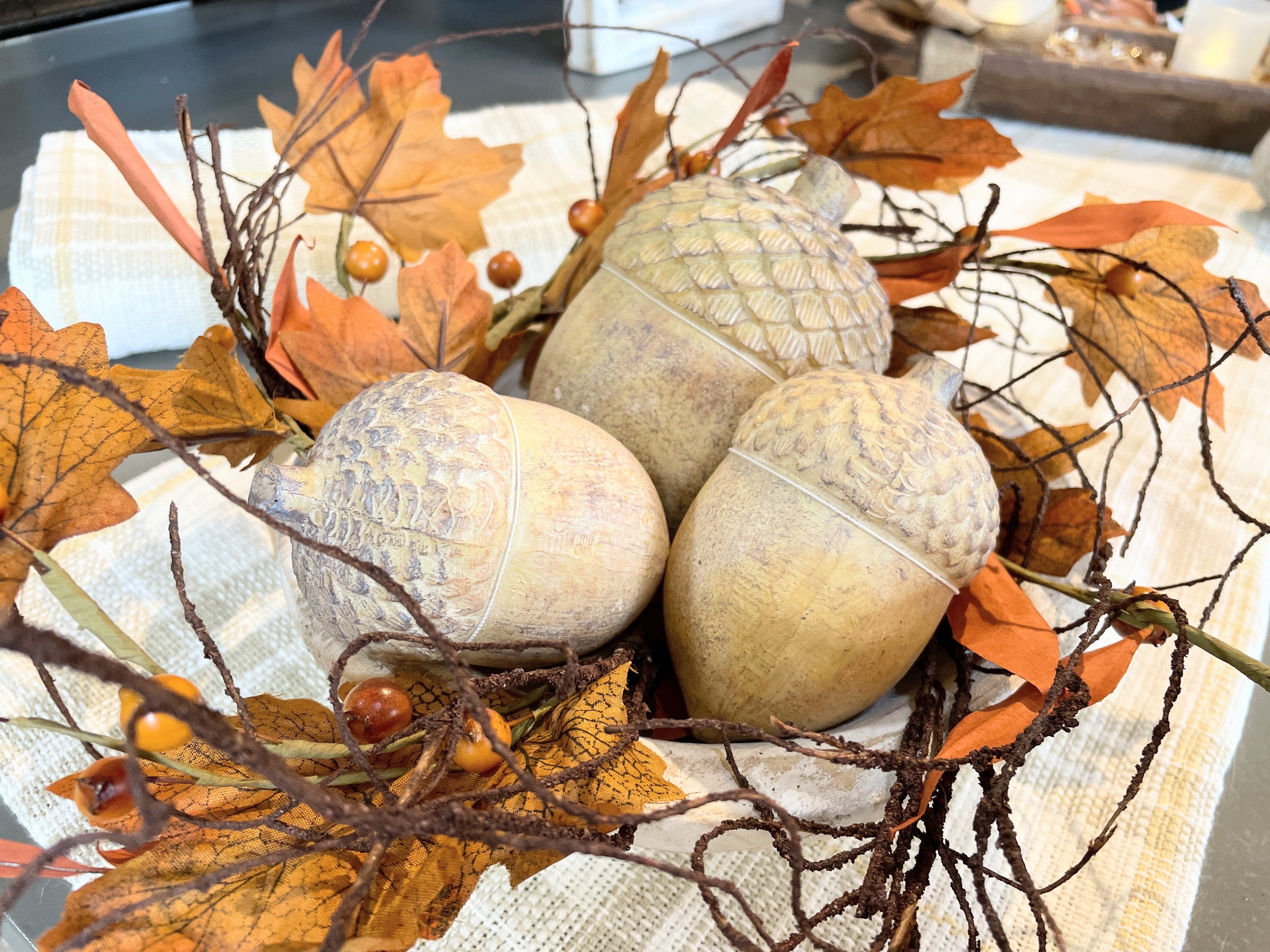 WT Collection acorn Tan Acorn