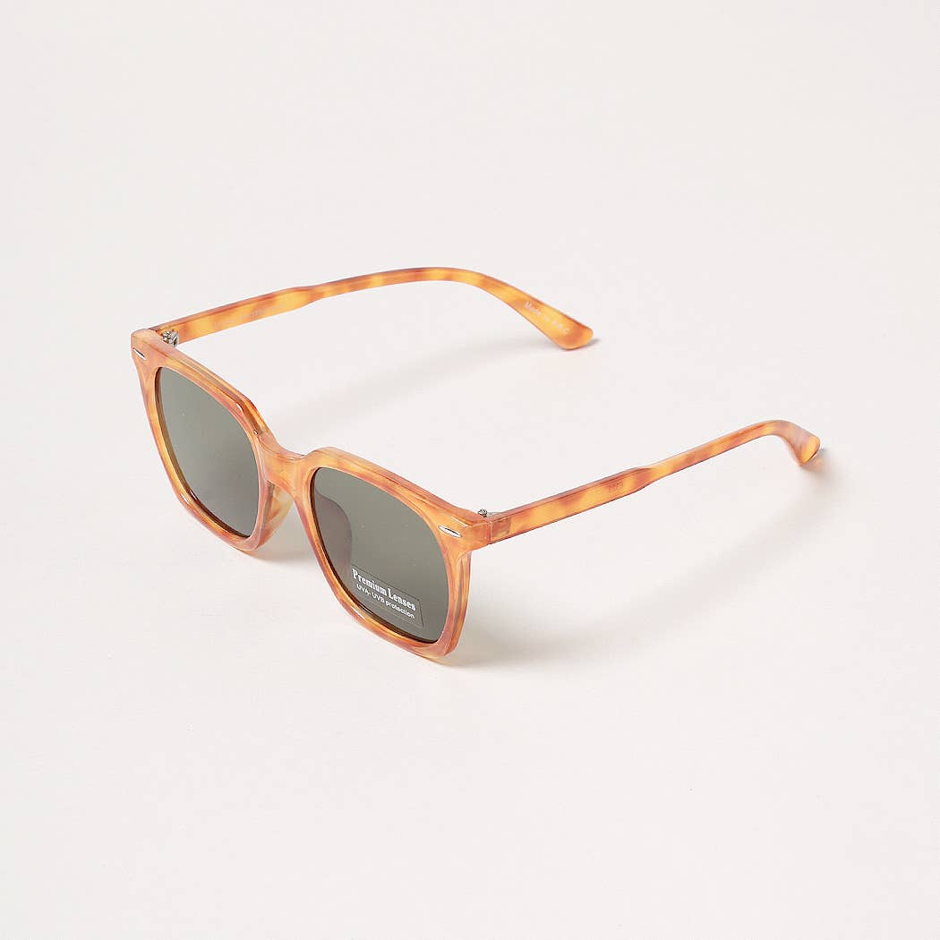 Tinted Rectangular Wayfarer Sunglasses
