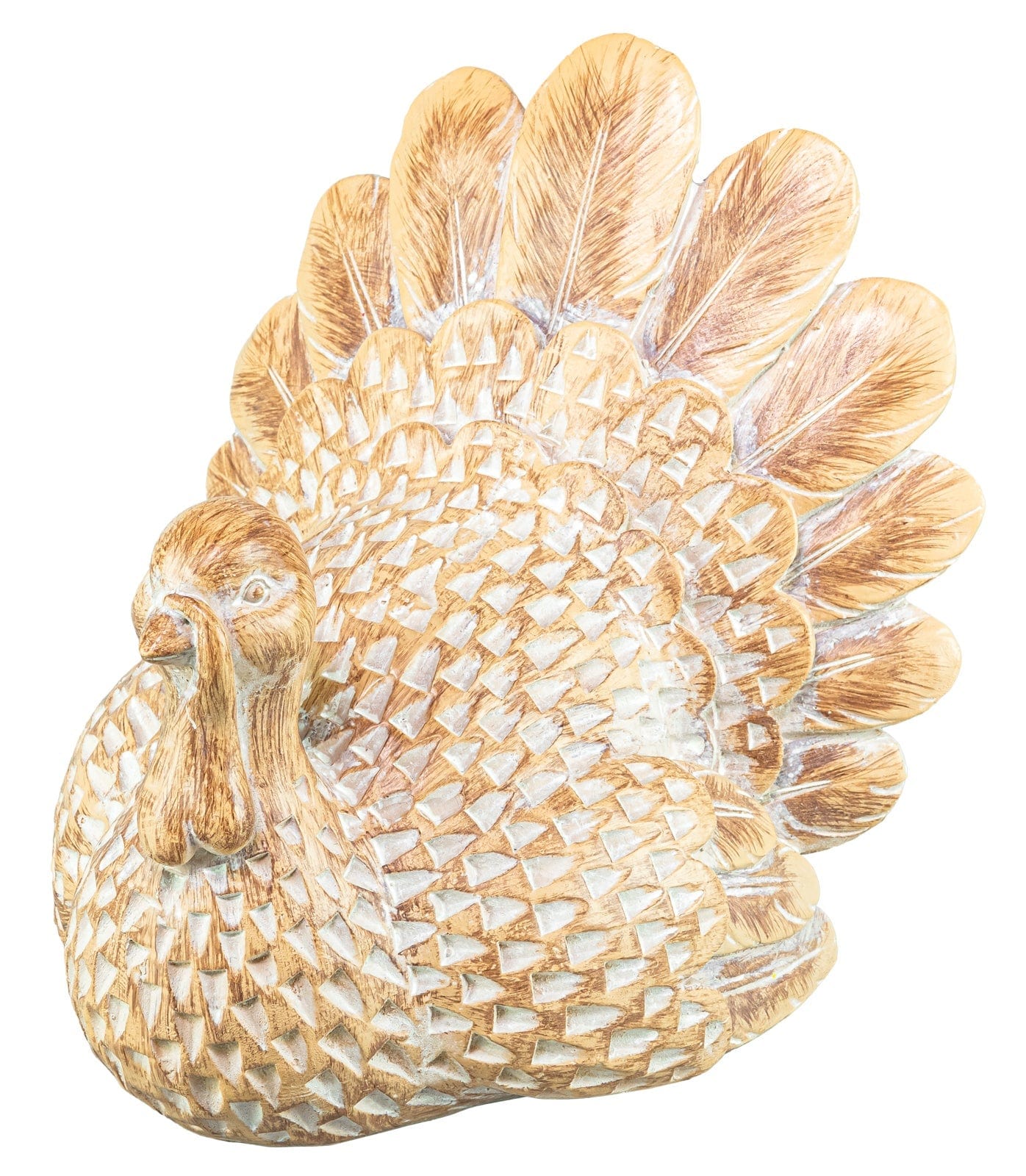 White Washed Turkey
