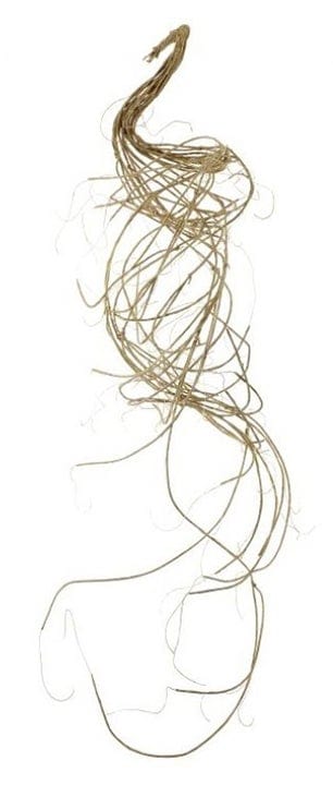 Will's floral pick Wrapped Cream Twig Garland