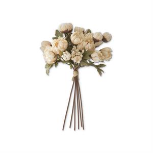 10 Inch Cream Dahlia Bundle