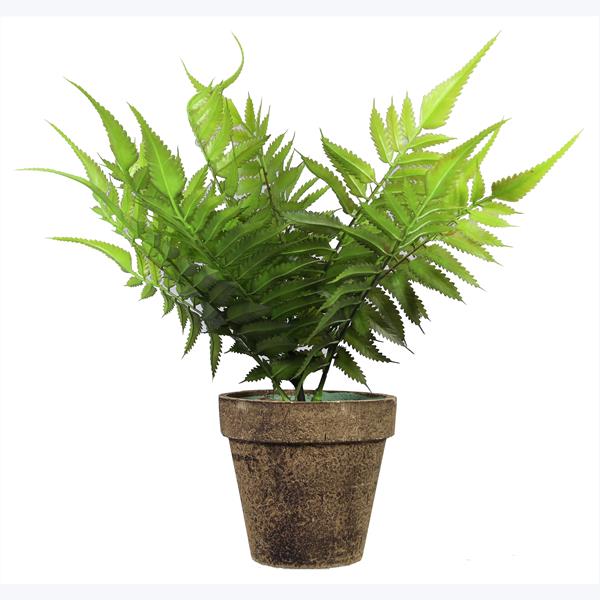 Artificial Fern