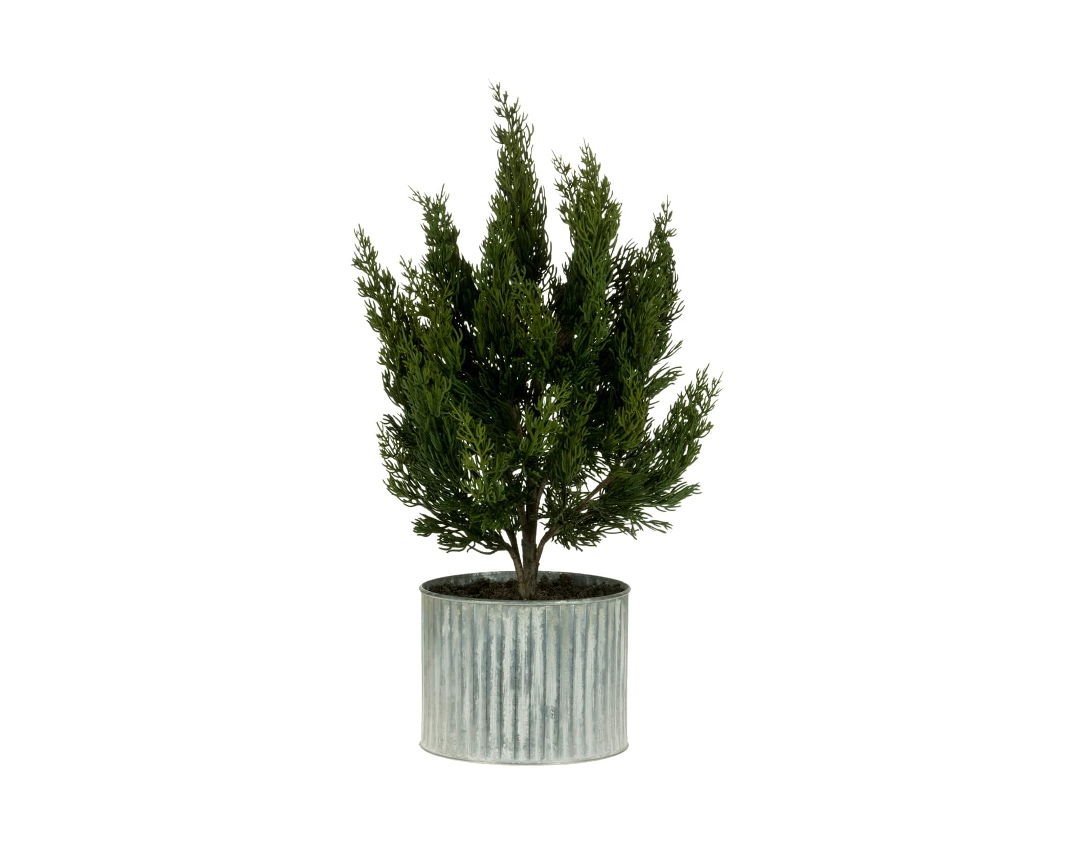 Christmas Traditions Seasonal Decor 21" Spruce Bush in Metal Pot
