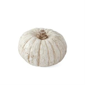 K&K Seasonal Decor 3 Inch Cream Resin Filler Pumpkin