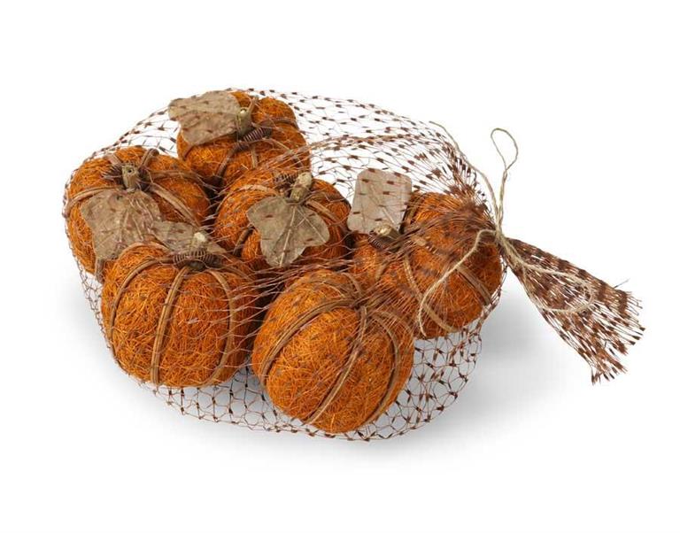 Orange Husk Pumpkins
