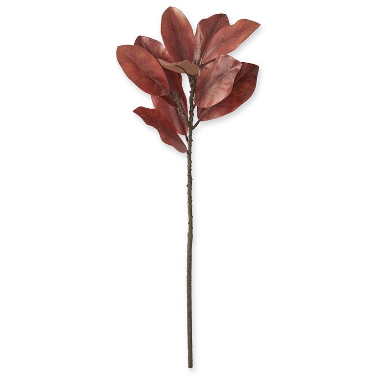 Orange Magnolia Branch