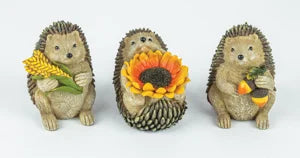 Sunflower Hedgehog