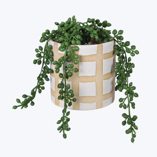 String of Pearl Ceramic Planter