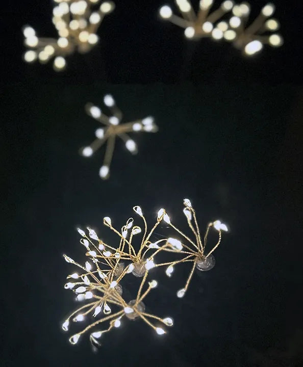 LED Solar Dandelion Stakes