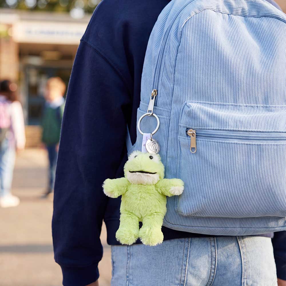Frog Keyring sensory Squishy