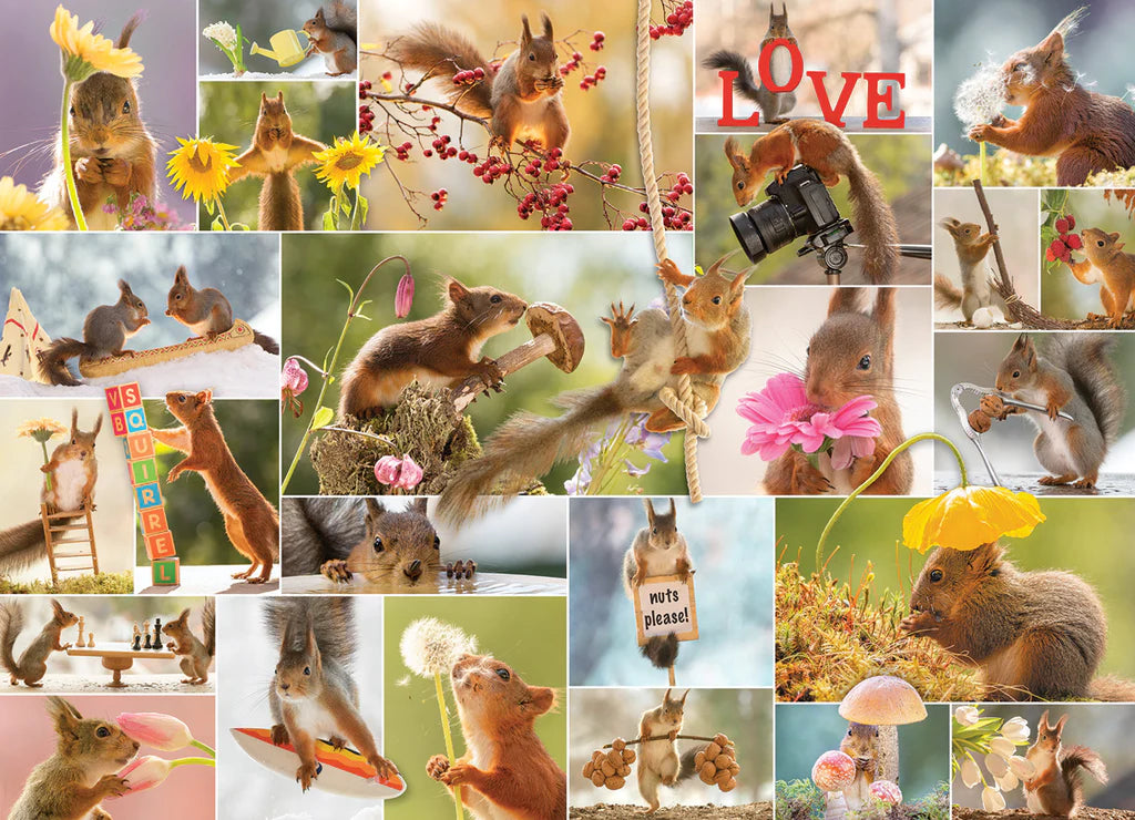 A Squirrel's Life Puzzle