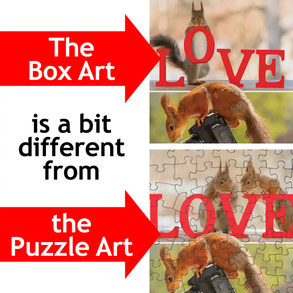 A Squirrel's Life Puzzle