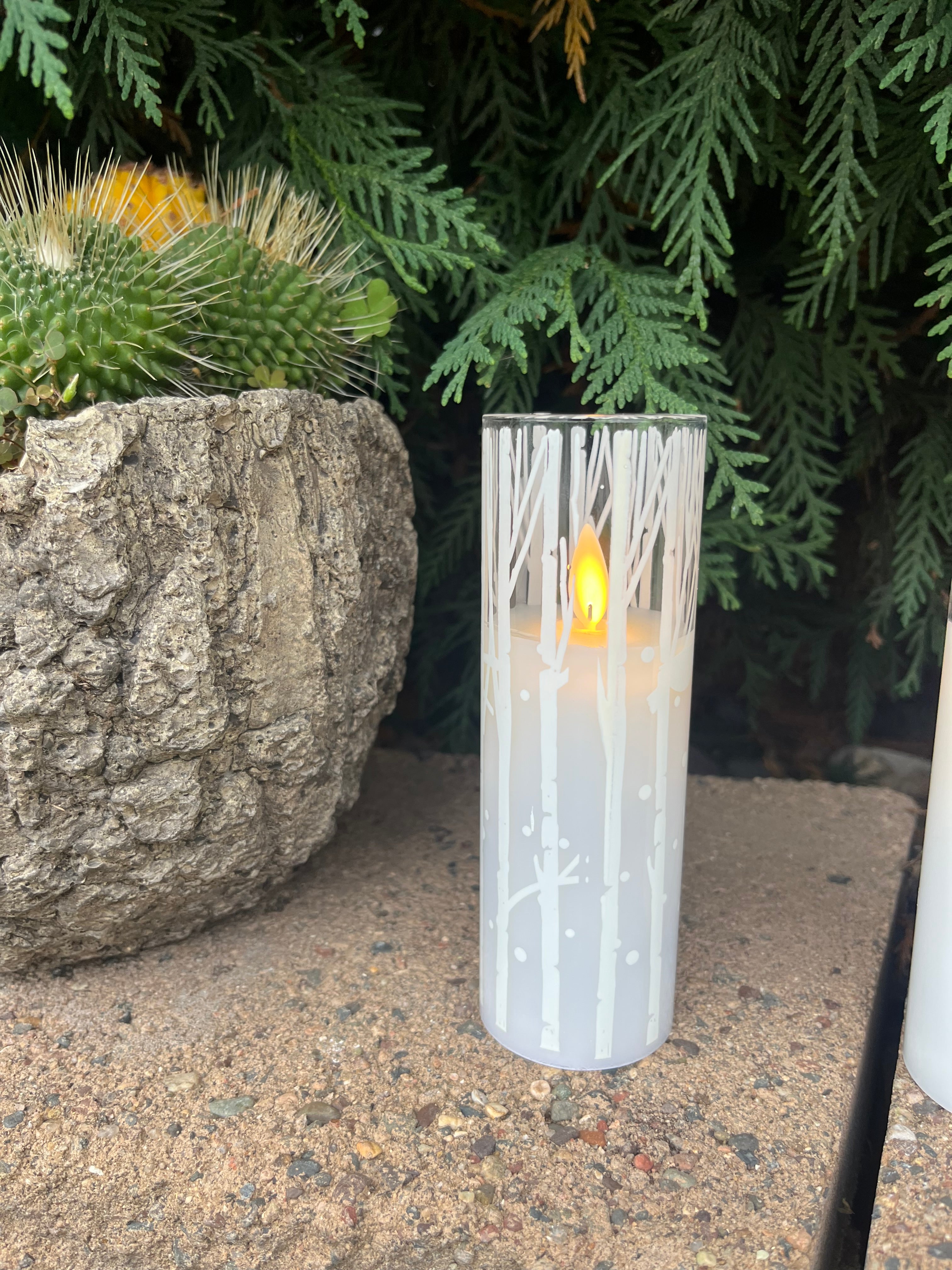 Birch Flameless Candle