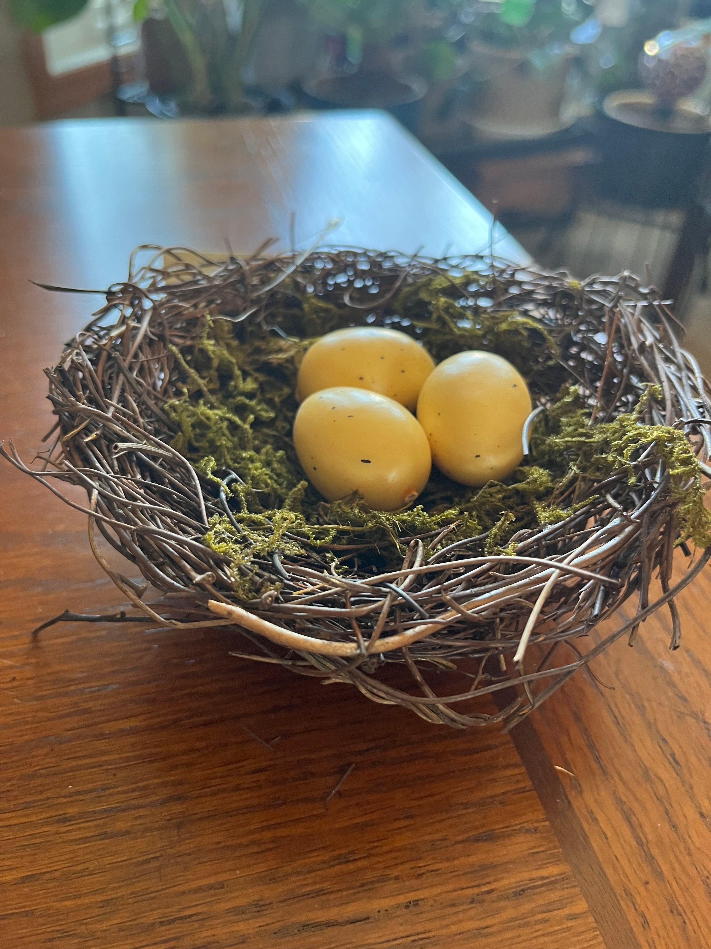 Birds Nest with Eggs