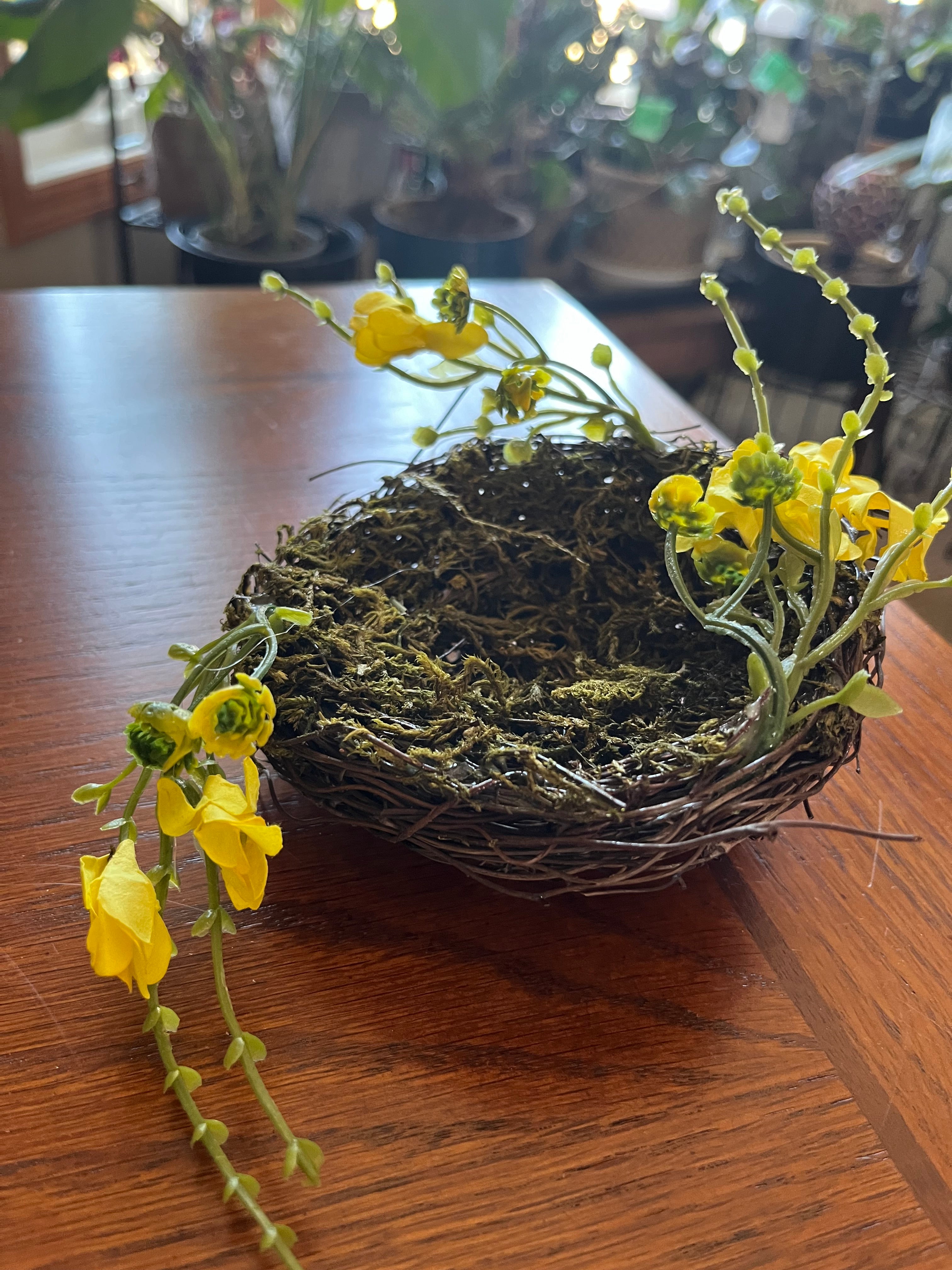 Buttercup Birds Nest