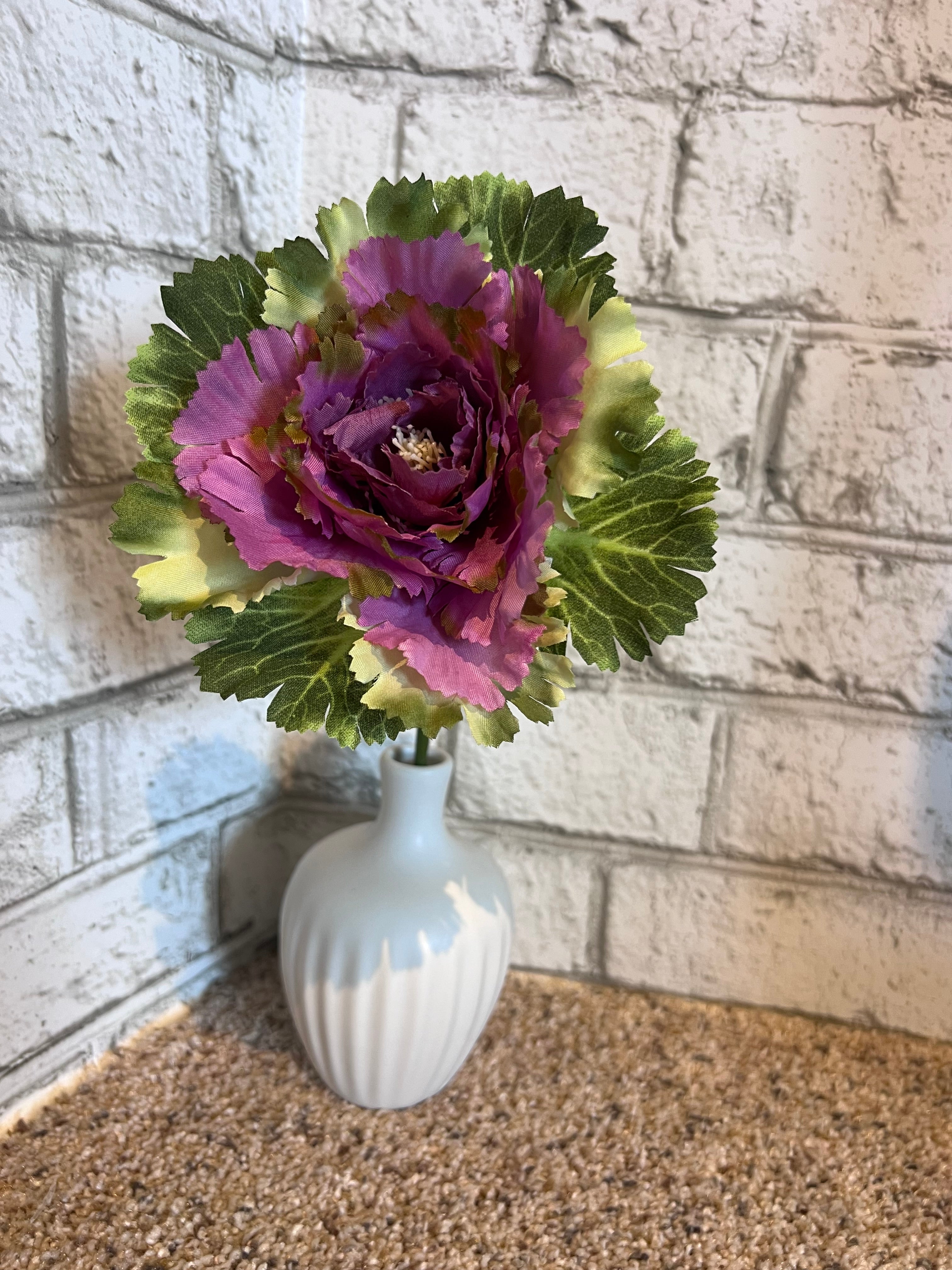 Purple Cabbage Stem