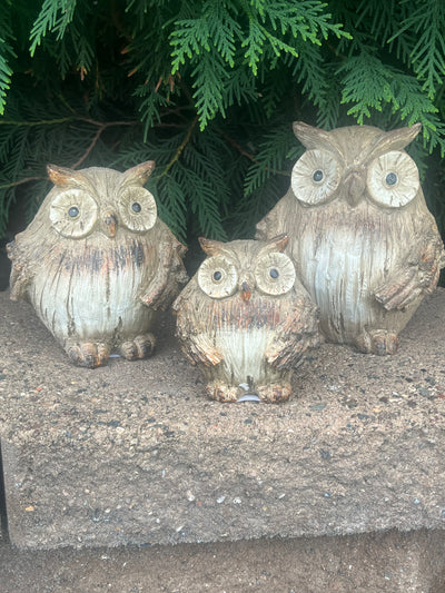 Carved Owls Set of 3