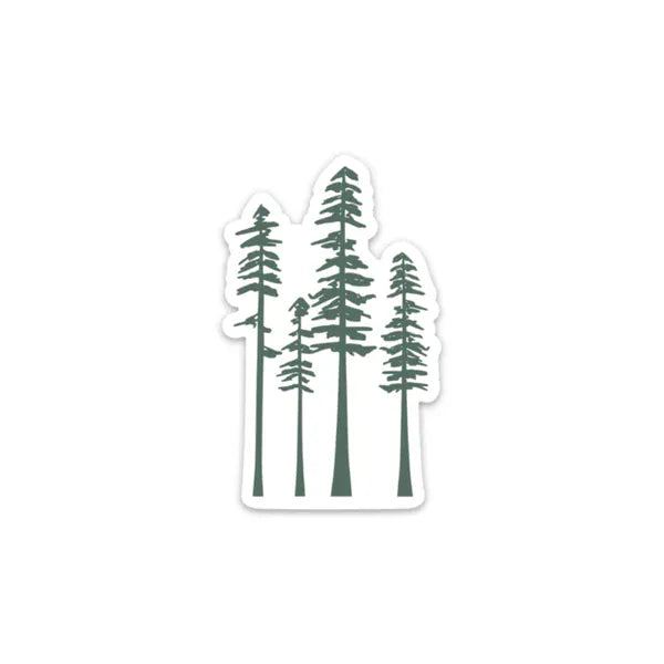 Creative Compass Sticker Doodle Pines Vinyl Sticker