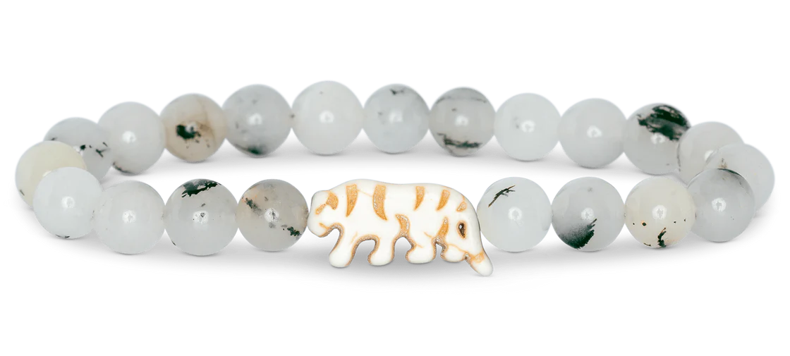 Fahlo Animal Tracking Bracelet