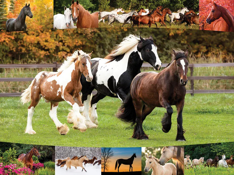 Giddy Up! Puzzle