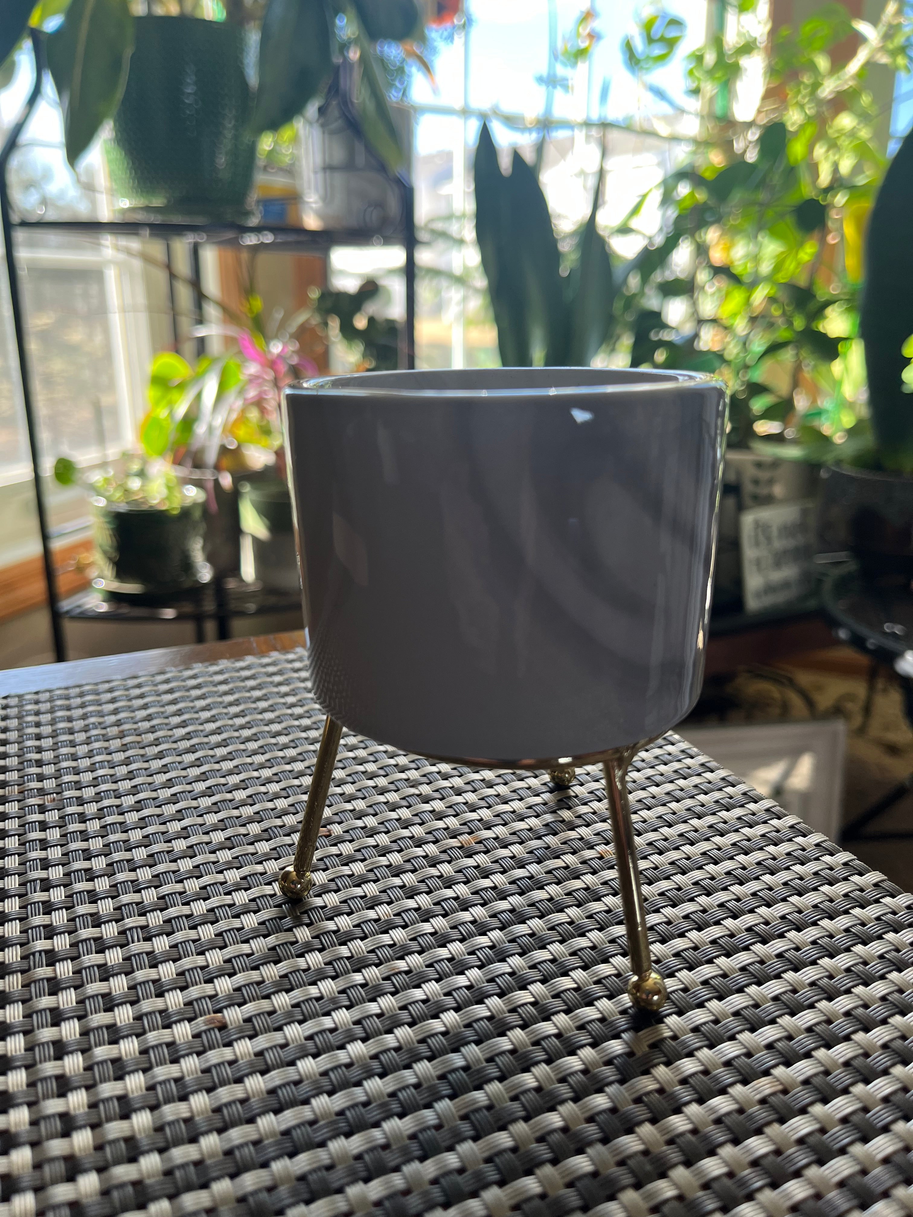Marble Planter with Gold Stand